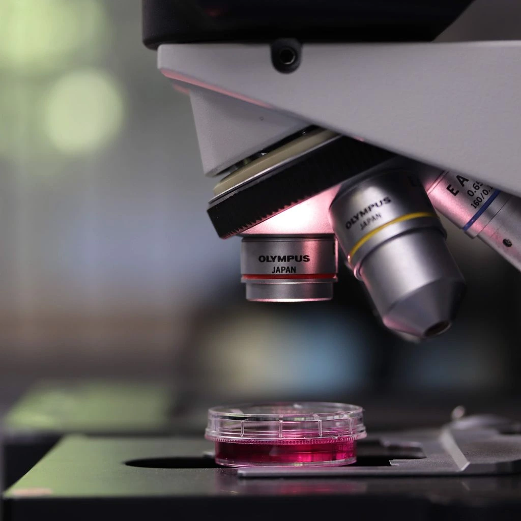 Inline NIR spectrometer probe verifying capsule potency in real time.